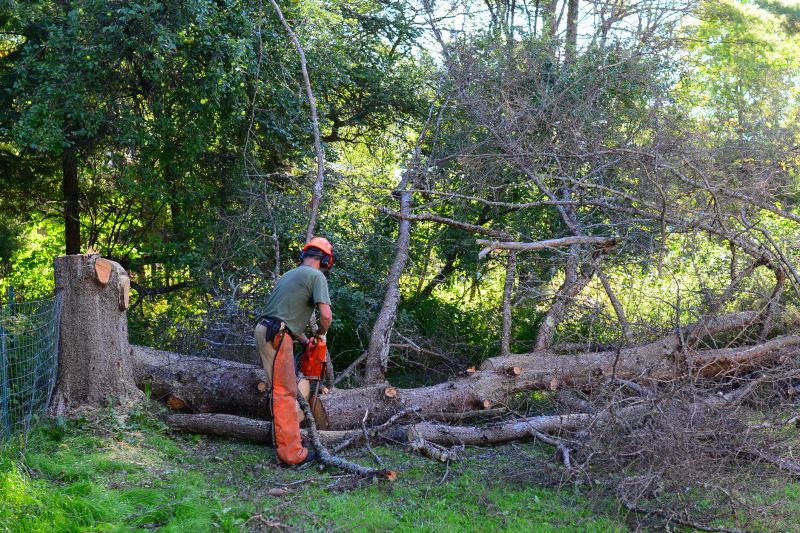 Commercial Tree Service