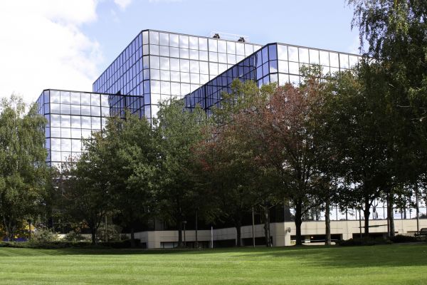 Commercial Tree Trimming in Alpharetta